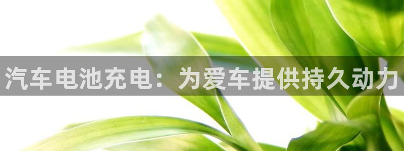 优发国际下载app