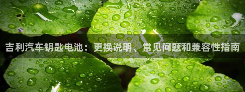 优发国际手机版网站下载