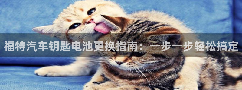 优发国际官网手