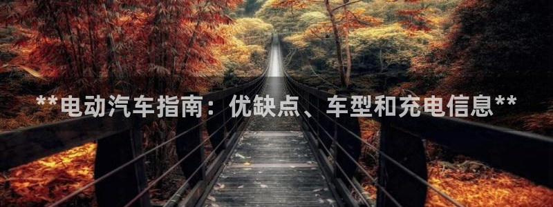 优发国际网官网17w8