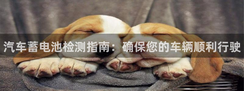 优发国际官网是多少