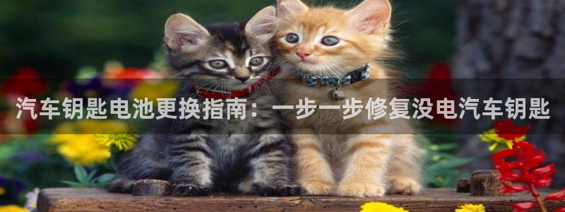 优发国际官网手机版app