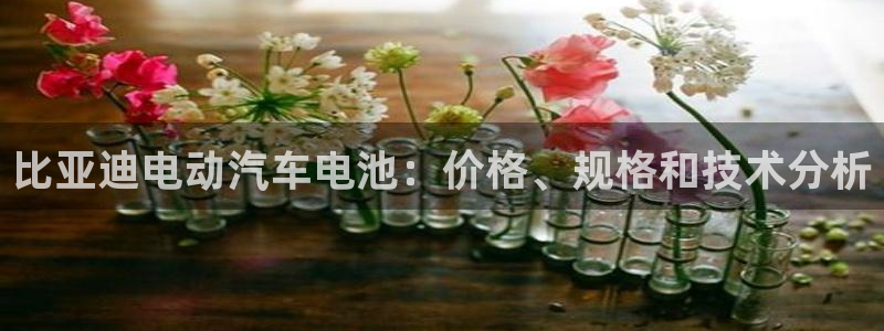 优发国际平台APP