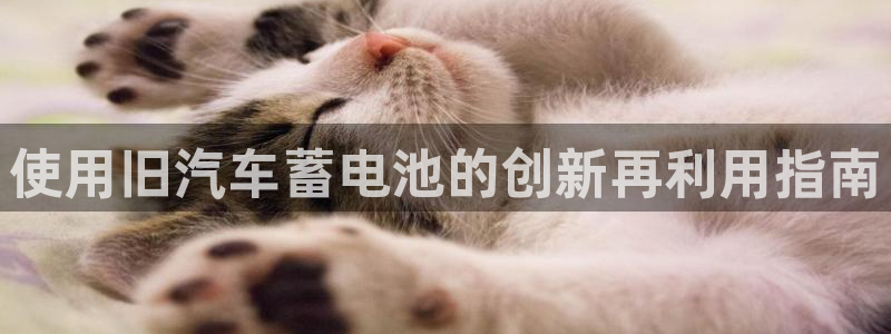 优发国际顶级