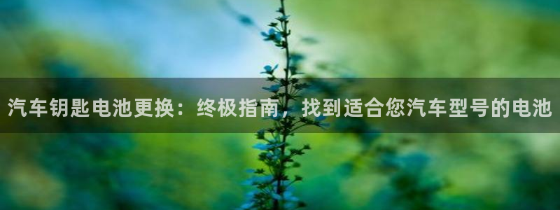 优发国际app官网下载安装苹果