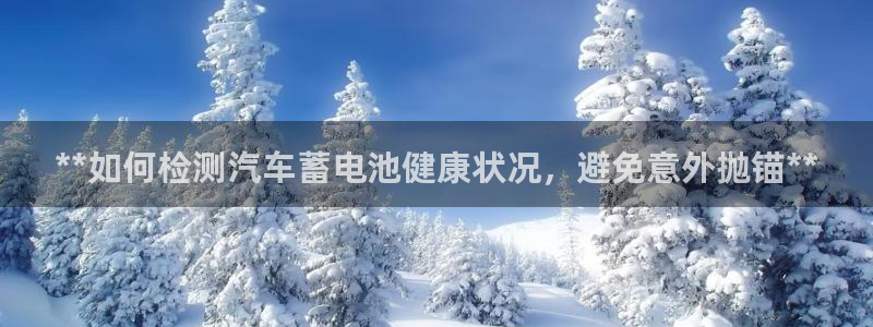 优发国际手机客户端怎么下载