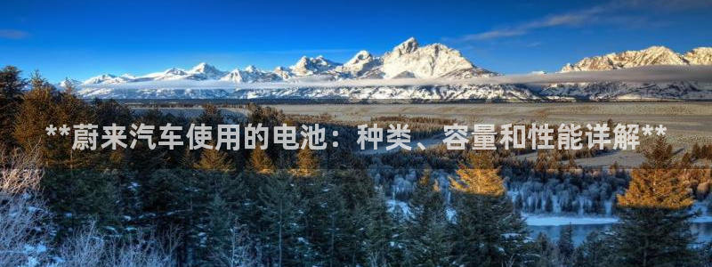 优发国际提现不了