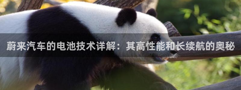 优发国际手机客户端怎么下载
