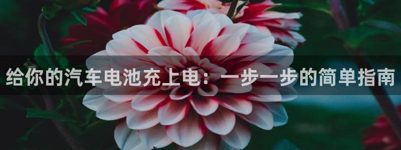 优发国际官网手机版入口