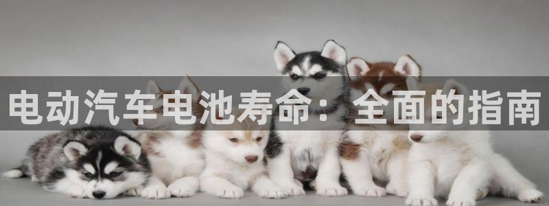 优发国际官网值是多少