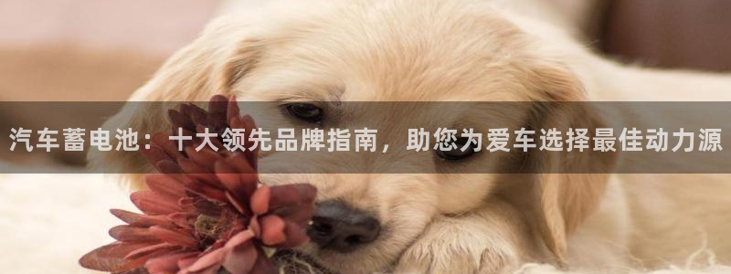优发国际手机app下载安装官网