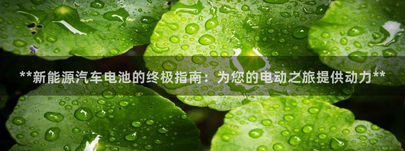 优发国际app官网下载安装苹果