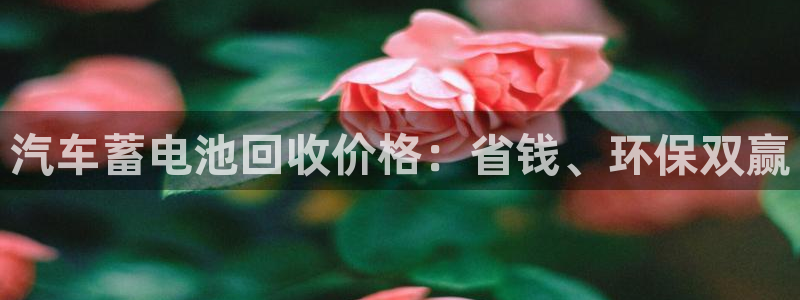 优发国际手机版网站