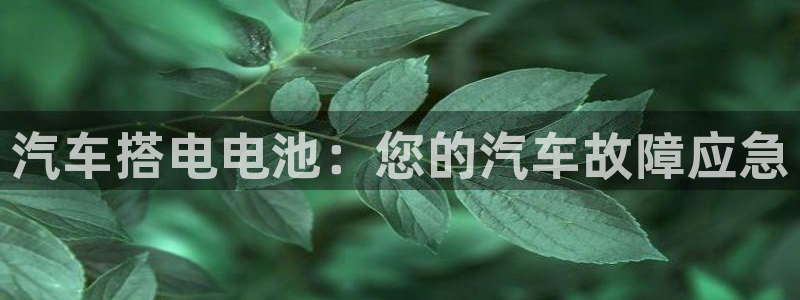 优发国际官网手机版app