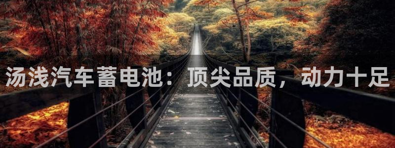 优发国际平台u8