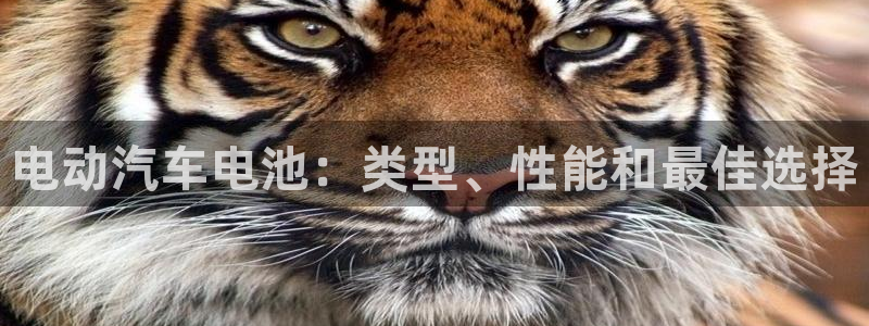 优发国际官网入口app下载