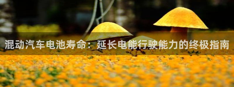优发国际手机客户端下载安卓