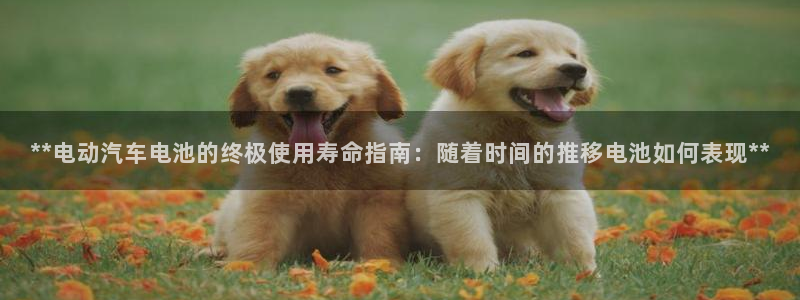 优发国际官网下载app