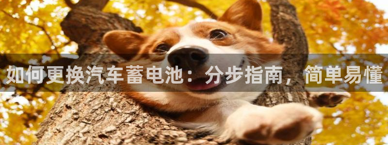 优发国际手机登录下载安装苹果