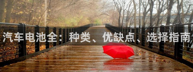 优发国际是大平台吗是真的吗