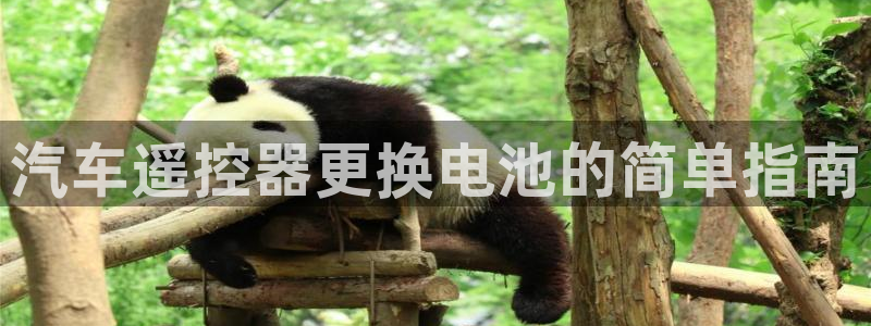 优发国际手机安装登录