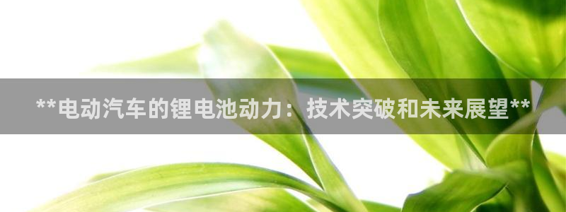 优发国际官网手机版入口