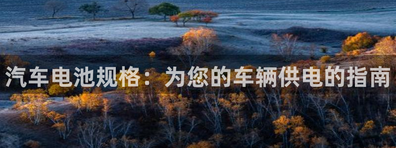 优发国际app官网下载安装手机版