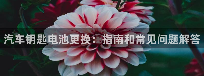 优发国际客服联系方式是什么