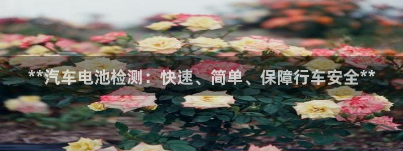 优发国际登录首页