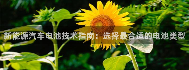 优发国际下载