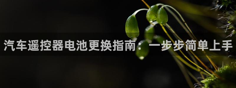 优发国际是真的吗