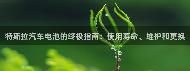 优发国际登录首页官网