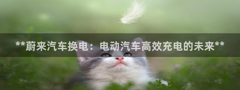 优发国际网官网17k8