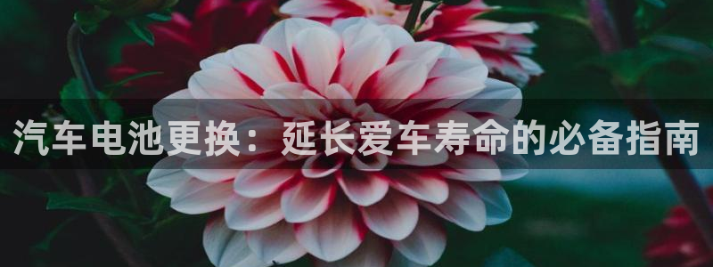 优发国际亚洲平台