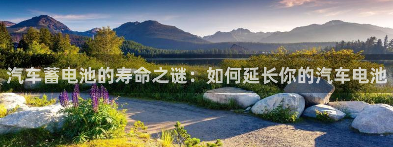 优发国际手机客户端下载不了