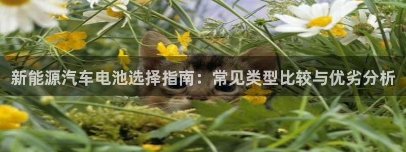 优发国际手机客户端下载安装不了