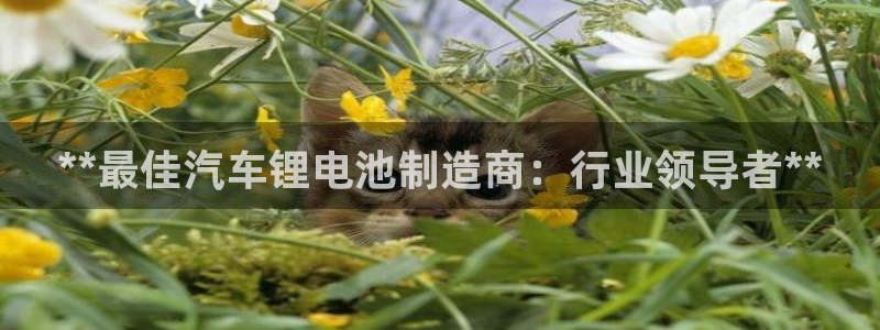 优发国际怎么样