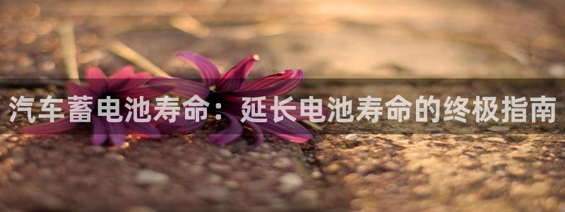 优发国际app官网下载安装