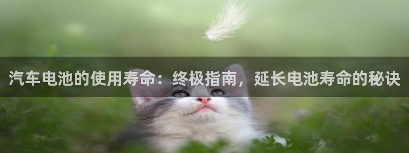 优发国际平台app下载