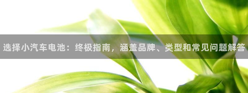 优发国际官网下载安装手机版