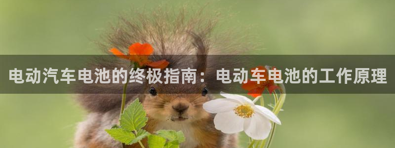 优发国际集团股份有限公司是国企吗