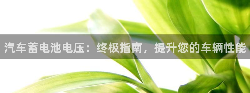 优发国际app登录密码
