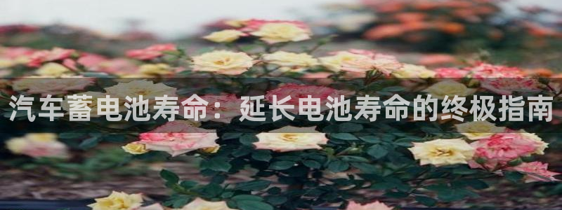 优发游戏官网