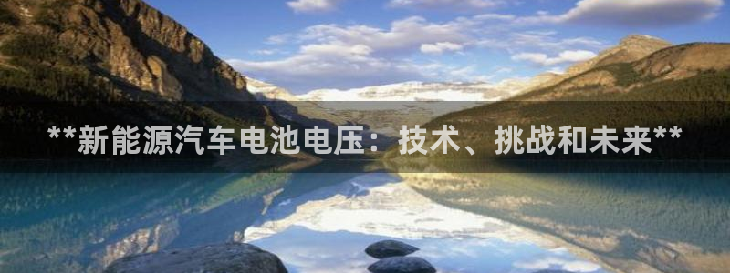 优发国际平台u8是什么软件