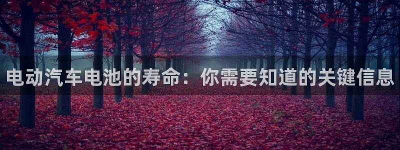 优发国际手机app下载安装