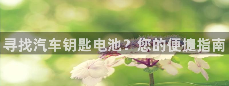 优发国际官方网平台登录