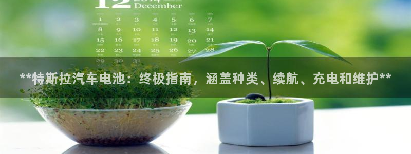 优发国际平台app下载官网