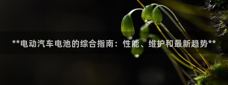 u优发国际首页