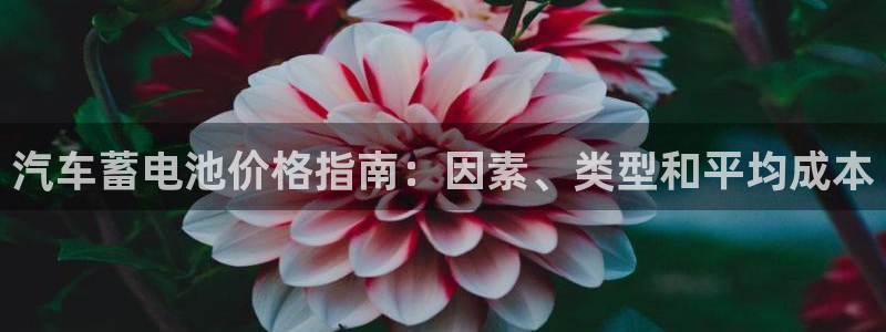 优发国际下载安装