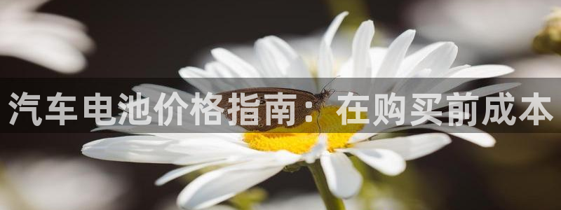 优发国际网官网17k8